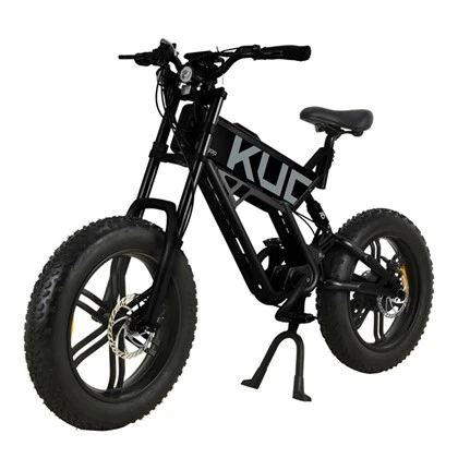 Bicicleta eléctrica de aluminio para adultos